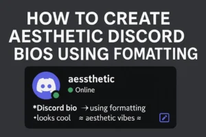 How to create aesthetic Discord bios using formatting, with example profile and styled text.